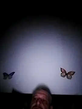 Husoban online show from 11/25/25, 11:48