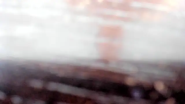 Snapshot of linda_rios_ chatting on 02/19/25, 10:09 linda rios online show from 02/19/25, 10:09