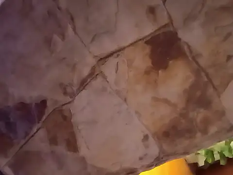 Snapshot of sasi_luna chatting on 10/01/25, 01:26 sasi luna online show from 10/01/25, 01:26