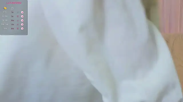 Snapshot of webstars_ chatting on 12/27/24, 11:17 webstars online show from 12/27/24, 11:17