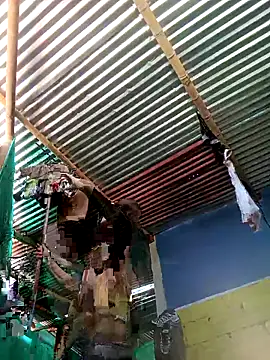 Snapshot of thamygomezz chatting on 09/09/25, 04:49 thamygomezz online show from 09/09/25, 04:49