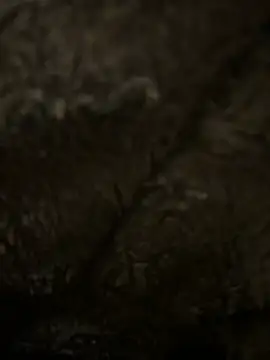 hamoo23p online show from 02/22/26, 02:47