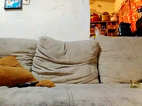 NewBe9D9 online show from 11/23/25, 09:41