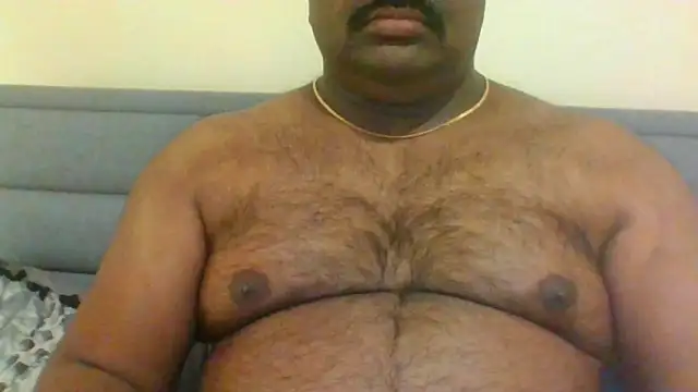 indianbearbot online show from 01/26/25, 08:13