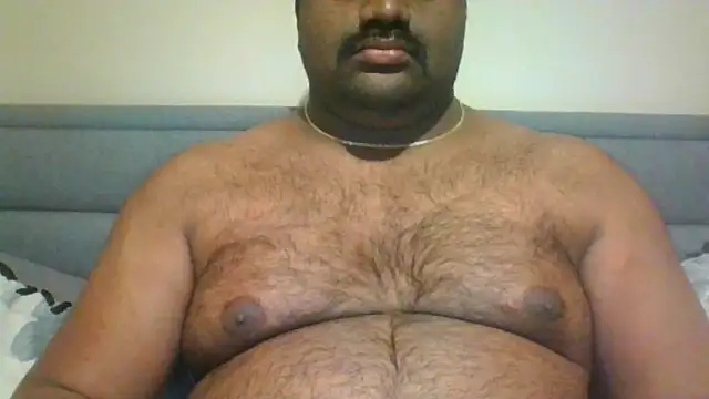 indianbearbot online show from 12/17/24, 08:54