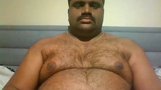 indianbearbot online show from 12/15/24, 08:25