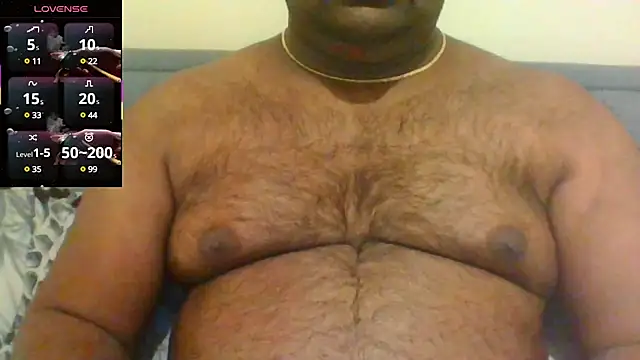 indianbearbot online show from 01/30/25, 08:31