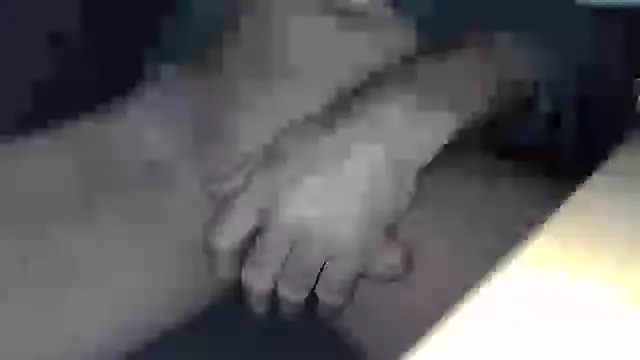 cs1512 online show from 02/11/25, 04:44