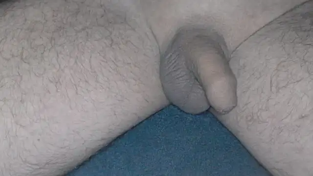 cs1512 online show from 02/26/25, 04:41