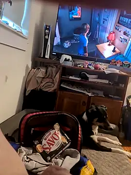 biggnipz online show from 11/07/25, 05:34