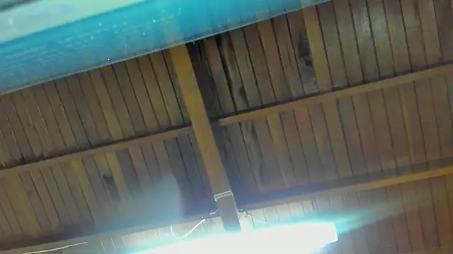 jeicob gagnon online show from 09/15/25, 02:01