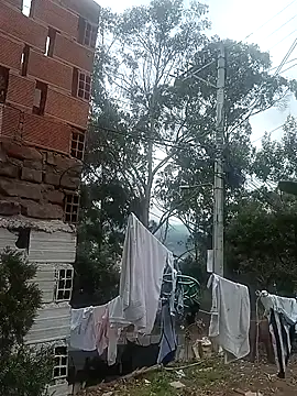 chayanne odisea online show from 03/12/26, 06:01