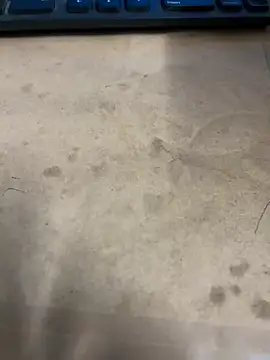 Hillz king 98 online show from 01/03/25, 12:33