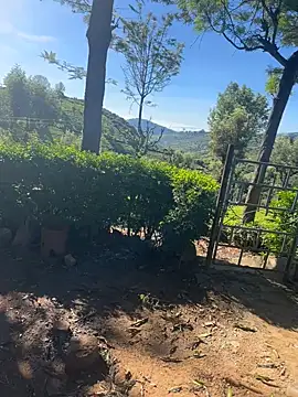 Hillz king 98 online show from 02/04/25, 03:54