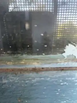 Hillz king 98 online show from 02/11/25, 09:20