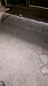 tibor19989 online show from 12/17/24, 05:15