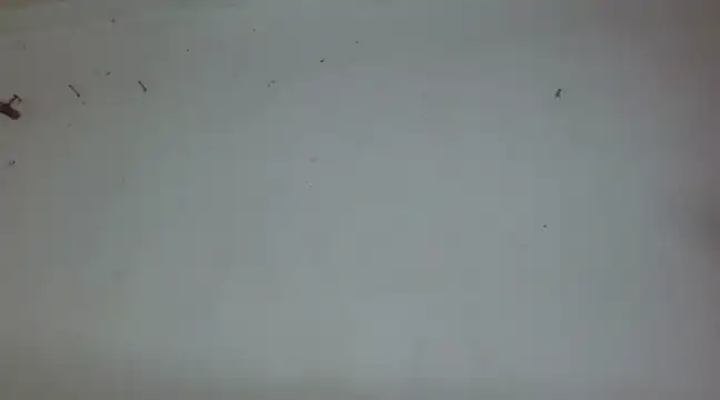  amira dalila online show from 12/27/24, 03:37