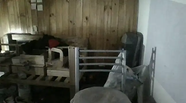 italianbighorse22 online show from 01/18/25, 06:03