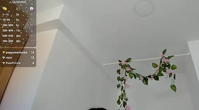Snapshot of Ninna--1 chatting on 01/12/25, 06:59 Ninna--1 online show from 01/12/25, 06:59
