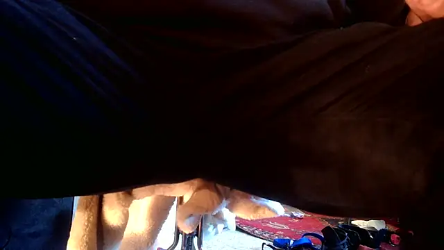 Snapshot of SilverandFox chatting on 09/10/25, 05:45 SilverandFox online show from 09/10/25, 05:45