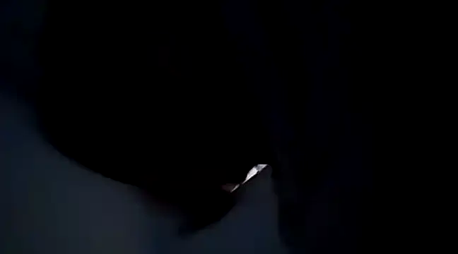 Saori san  online show from 01/04/25, 12:16