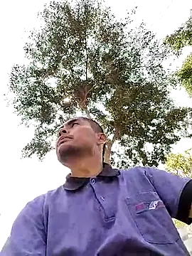 Crashsolitario online show from 04/13/26, 04:11