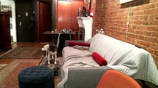 Johnny Bottoms online show from 10/23/25, 10:19