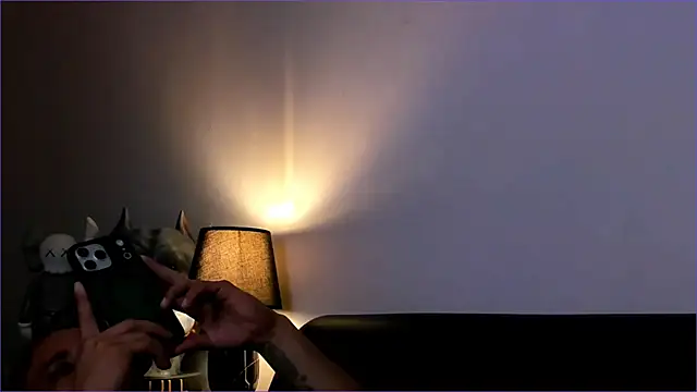 BradLeon  online show from 01/11/26, 01:01