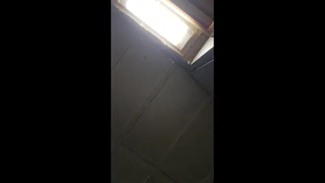 zaneporter46 online show from 03/29/26, 12:23