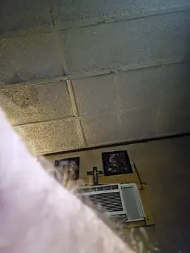 zaneporter46 online show from 06/29/26, 05:58