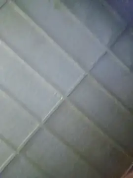 zaneporter46 online show from 02/05/26, 06:15