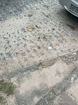 Casadadelicia26 online show from 03/19/26, 07:25