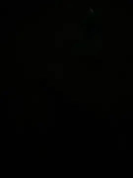 Dvddd online show from 04/14/26, 02:33