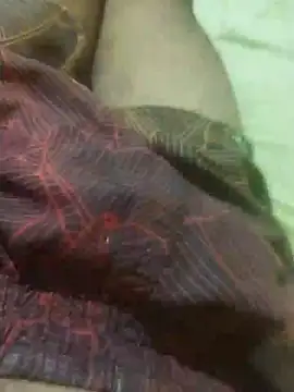 Snapshot of jarmesr7x chatting on 02/11/25, 03:18 jarmesr7x online show from 02/11/25, 03:18