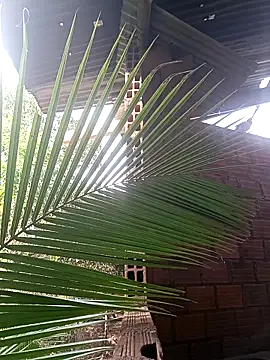 Andres123cv online show from 12/18/25, 09:18