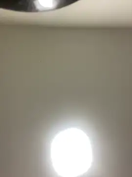 Lexi Belle  online show from 01/12/25, 02:56