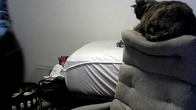 viejo oso online show from 04/10/26, 03:24