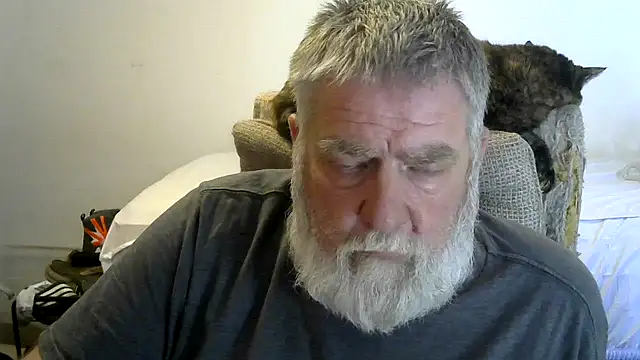 viejo oso online show from 03/20/26, 09:38