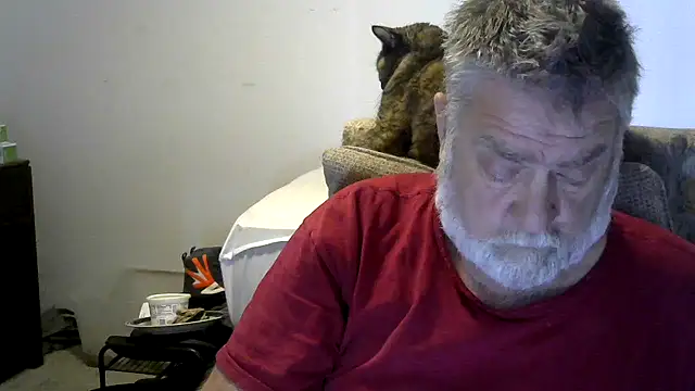 viejo oso online show from 11/30/25, 04:08