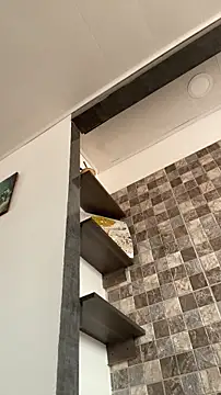 Sophia cyrus11 online show from 02/06/26, 05:42