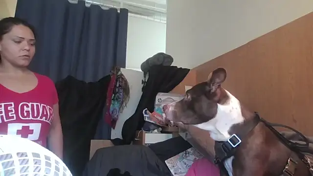 Dnasty408 online show from 11/07/25, 08:13