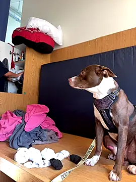 Dnasty408 online show from 10/16/25, 10:40