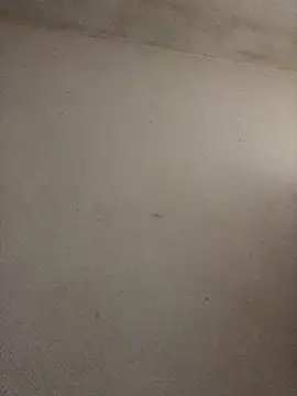 BELLAMORGANE1 online show from 11/02/25, 09:25