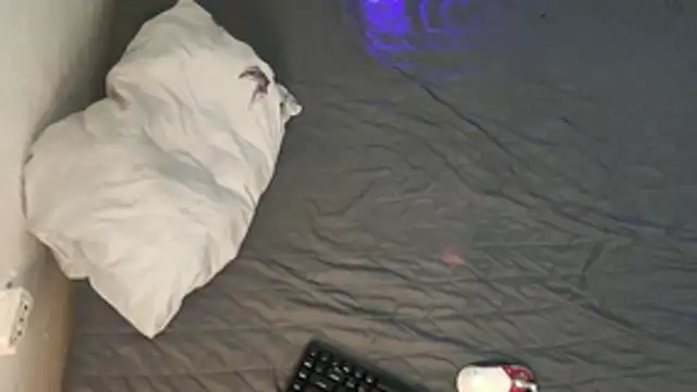 kyle 898 online show from 12/02/25, 01:46