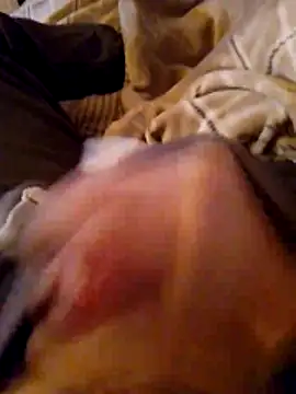 Snapshot of MaxiFabry chatting on 10/20/25, 07:47 MaxiFabry online show from 10/20/25, 07:47