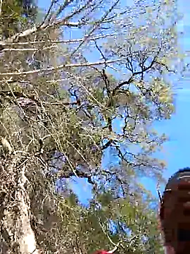 VelvetChocolate7 online show from 02/24/26, 08:31