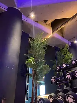 Karol Towers online show from 03/04/25, 06:07