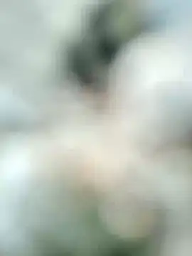 Snapshot of carria_homes chatting on 02/19/25, 11:17 carria homes online show from 02/19/25, 11:17