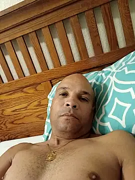 3patica online show from 02/19/25, 08:44