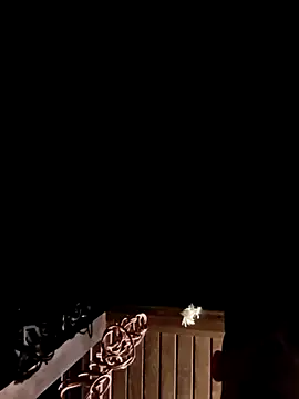 Playboy40 online show from 06/14/26, 07:53